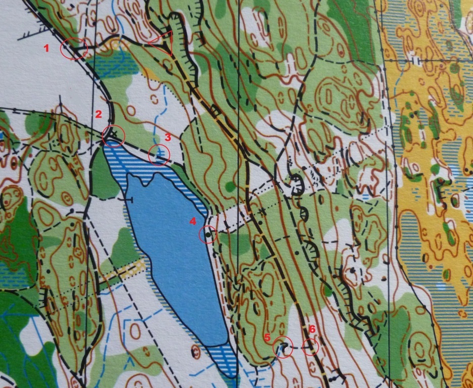 Section of an orienteering map